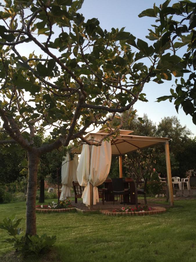 B&B Villa Magna Grecia Lazzaro エクステリア 写真